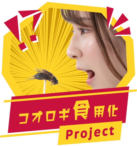 コオロギ食用化project