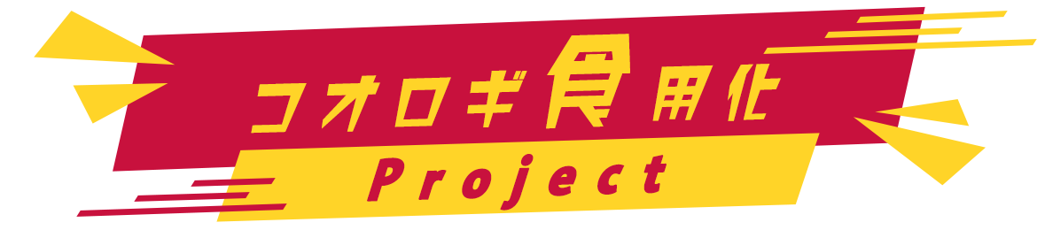 コオロギ食用化project