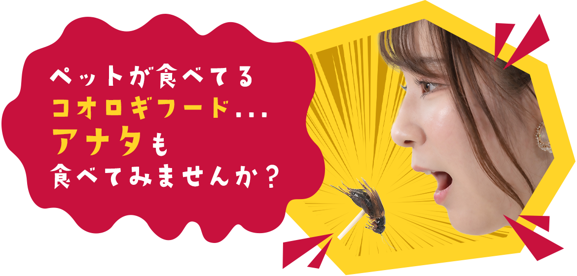 ペットが食べてるコオロギフード…アナタも食べてみませんか？